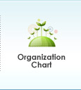 Organization chart